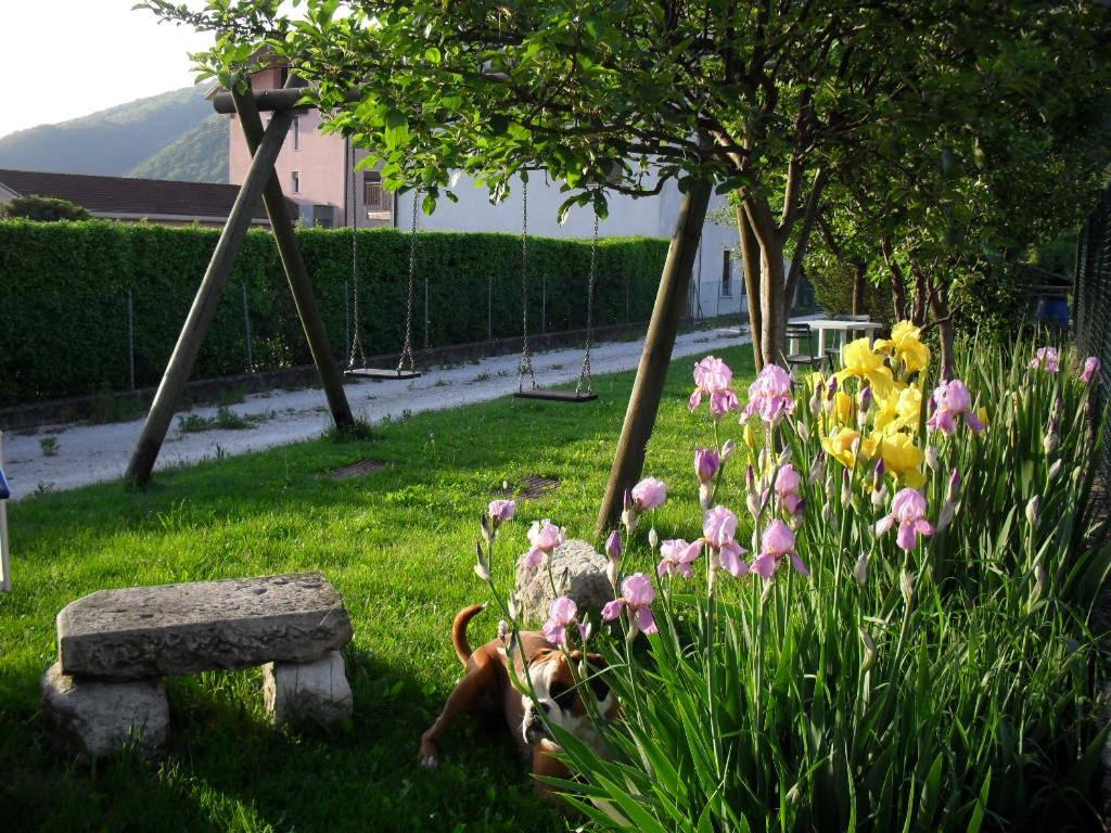 B&B Casa Francesca Alano Di Piave 外观 照片